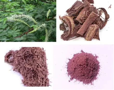 Mimosa Hostilis Root Bark vs Root Bark Powder