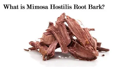 Mimosa Hostilis root bark powder