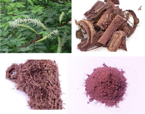 Mimosa Hostilis root bark
