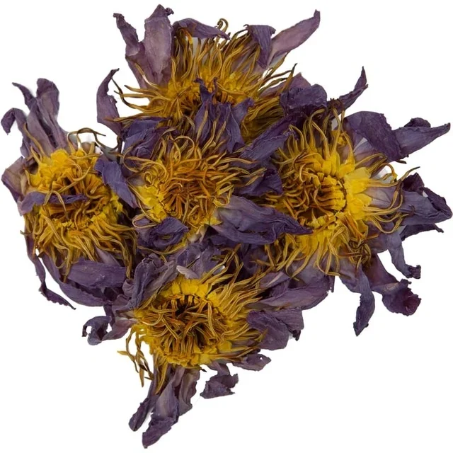 blue lotus extract