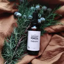diy mimosa