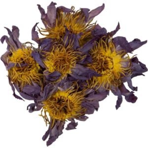 Dried Blue lotus flower