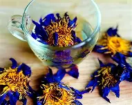 blue lotus for sale